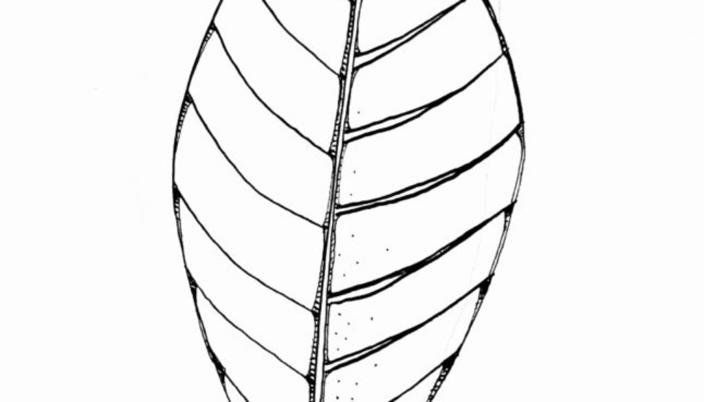 leafaya
