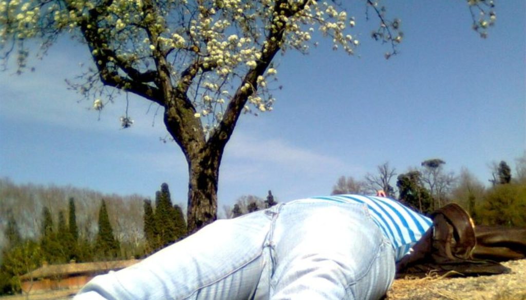 maria-en-el-arbol