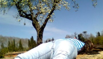 maria-en-el-arbol